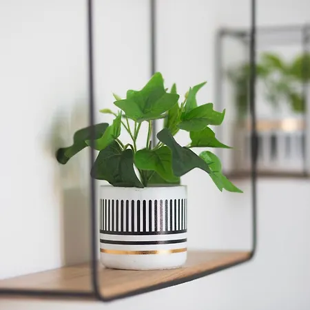 Bnb Al Centro E Meglio, 아파트 나폴리